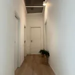 Fl Nel Corso Cagliari